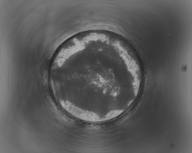 X0000116581505200912312003