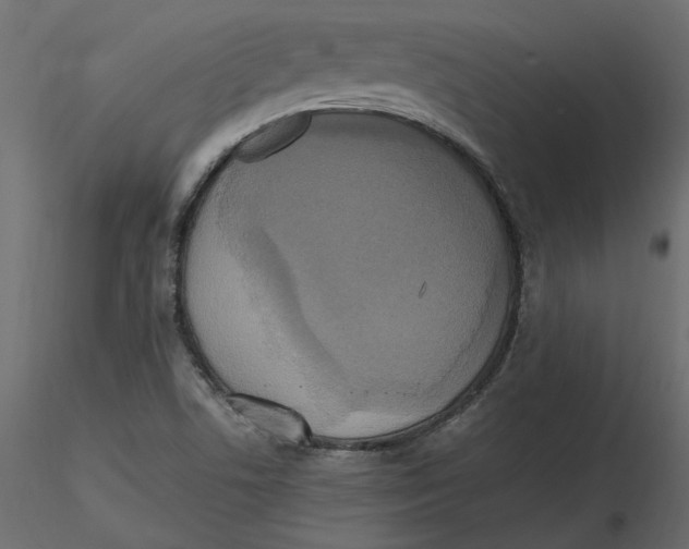 X0000116581506200912312003