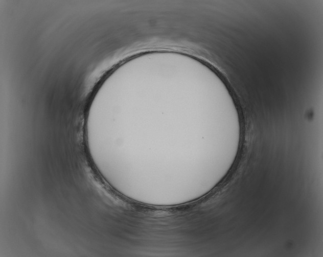 X0000116581507200912312003