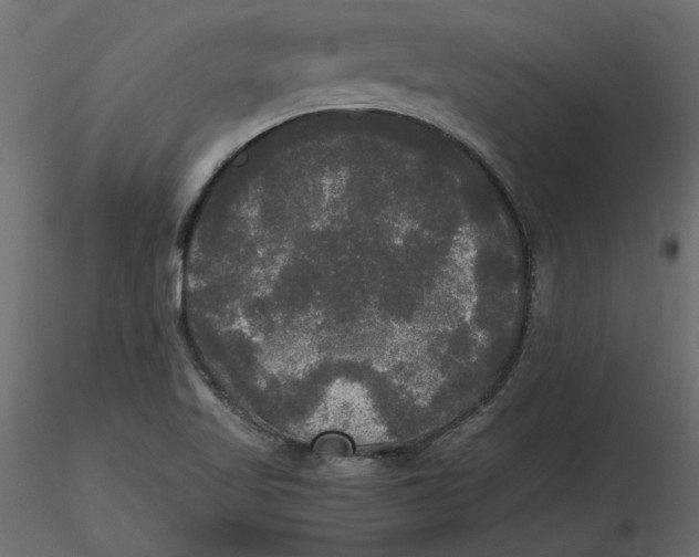 X0000116581509200912312003