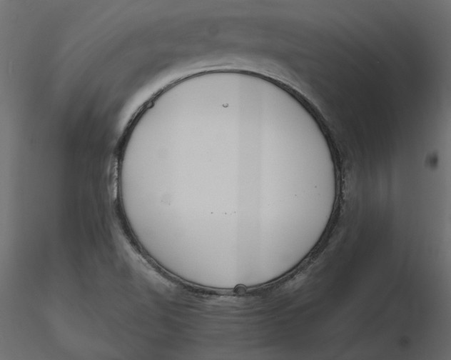 X0000116581510200912312003