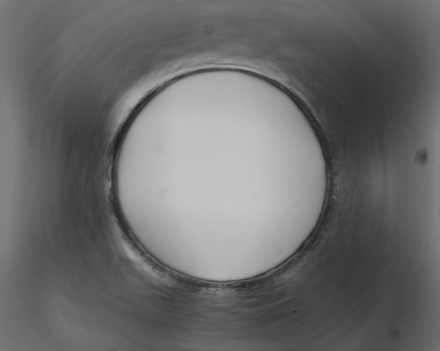 X0000116581511200912312003