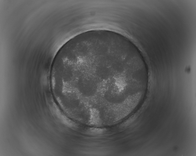 X0000116581513200912312003