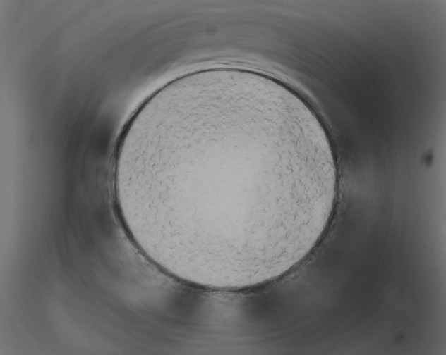 X0000116581514200912312003