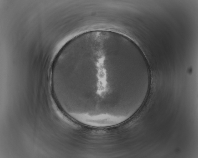 X0000116581515200912312003