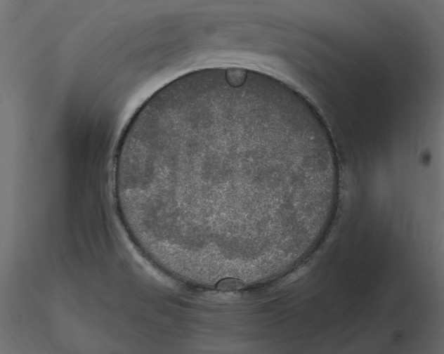 X0000116581517200912312003