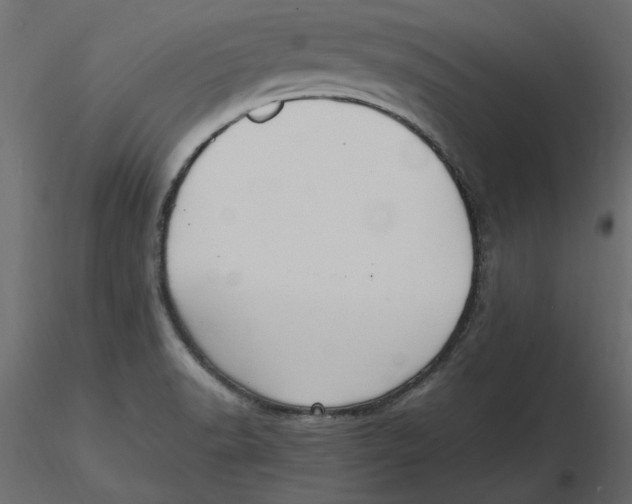 X0000116581518200912312003