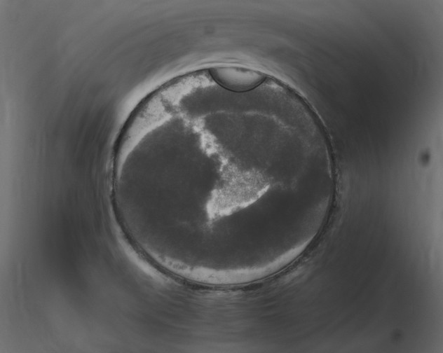 X0000116581519200912312003