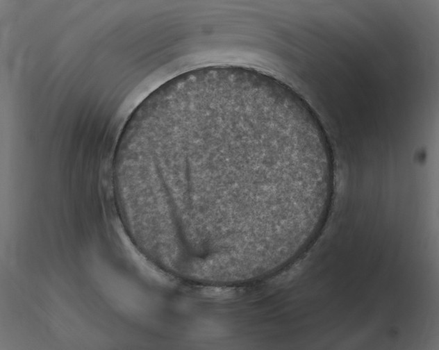 X0000116581521200912312003