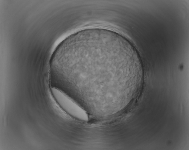 X0000116581522200912312004