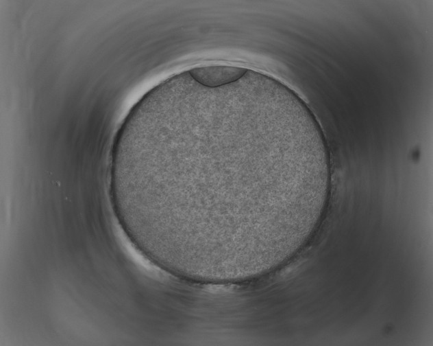 X0000116581523200912312004