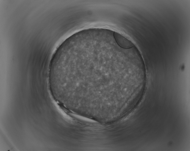 X0000116581525200912312004