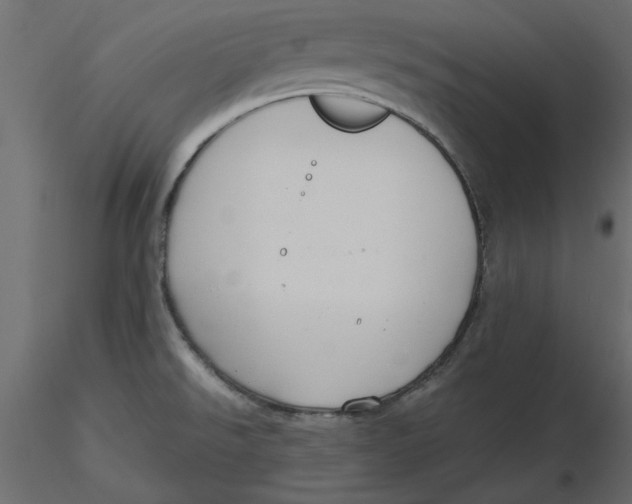 X0000116581526200912312004