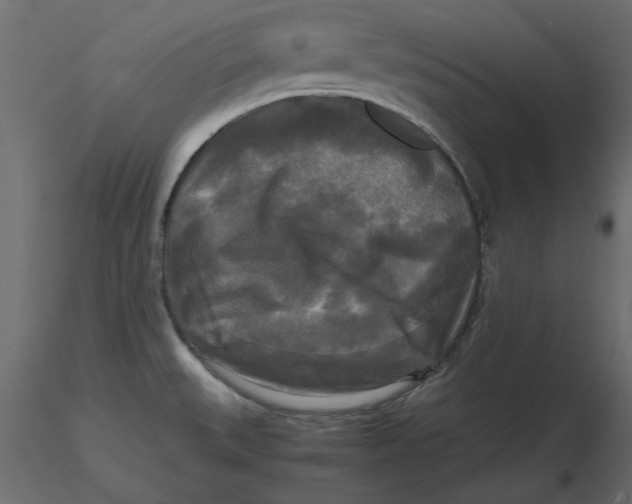 X0000116581527200912312004