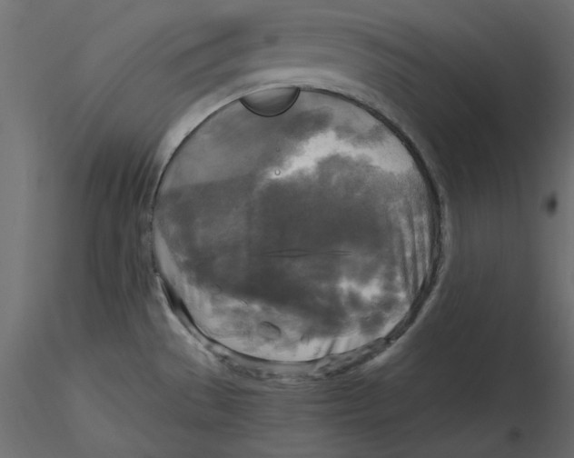 X0000116581529200912312004