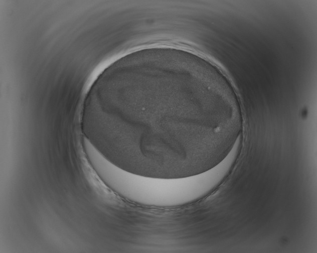 X0000116581530200912312004