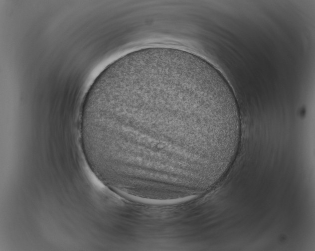 X0000116581531200912312004