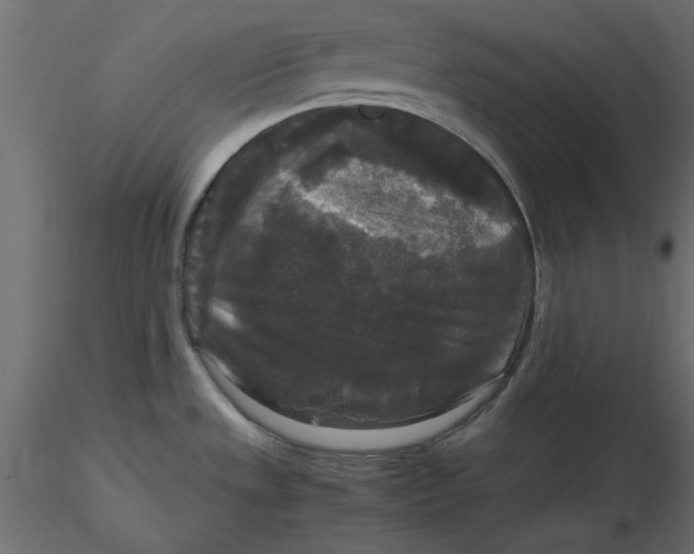 X0000116581533200912312004