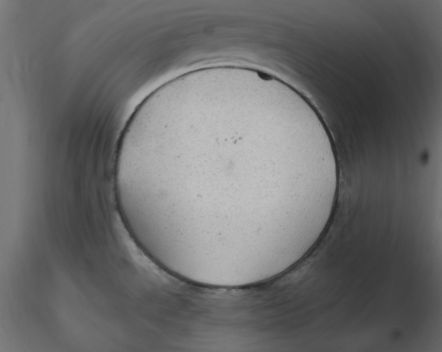 X0000116581534200912312004