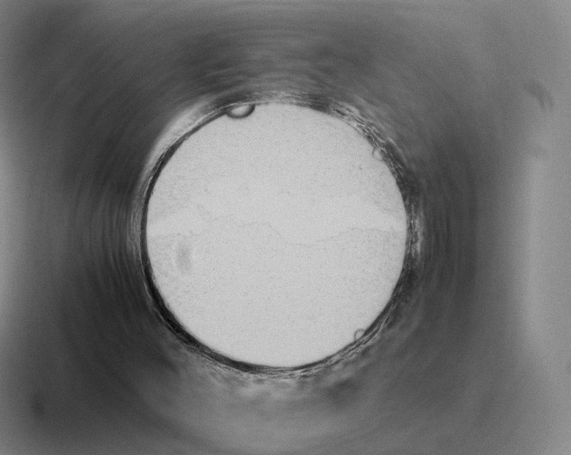 X0000116580004201001071223