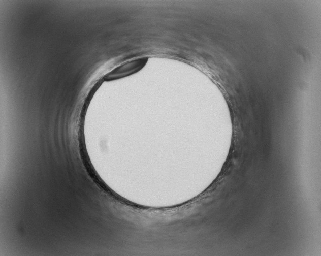 X0000116580007201001071223
