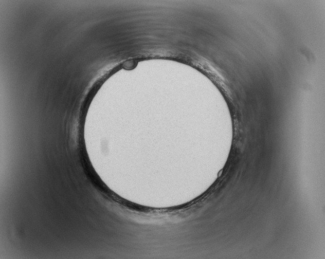 X0000116580012201001071223