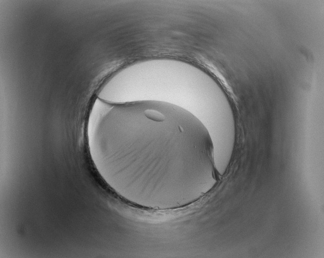 X0000116580019201001071223
