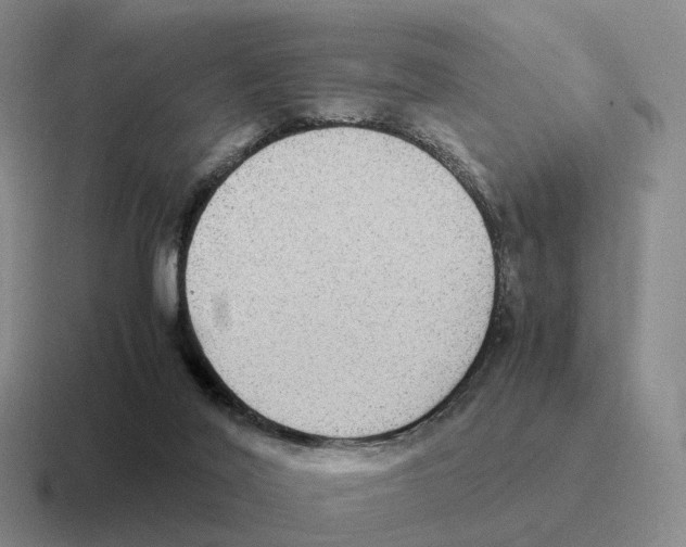 X0000116580020201001071223