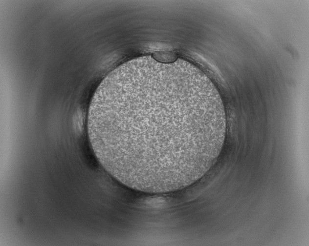 X0000116580075201001071222