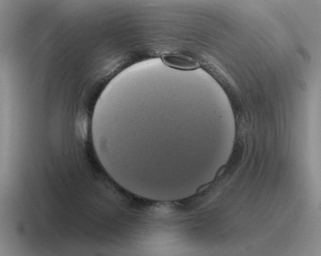 X0000116580076201001071222