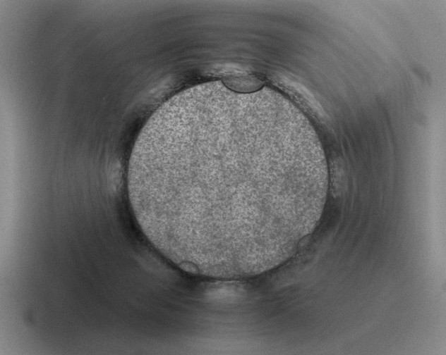 X0000116580077201001071222