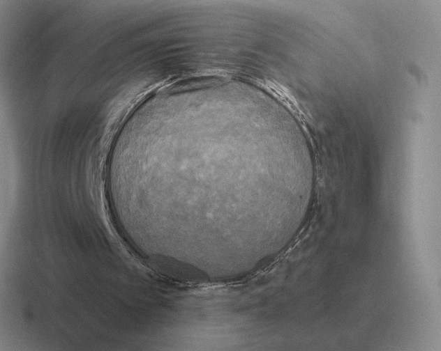 X0000116580097201001071222