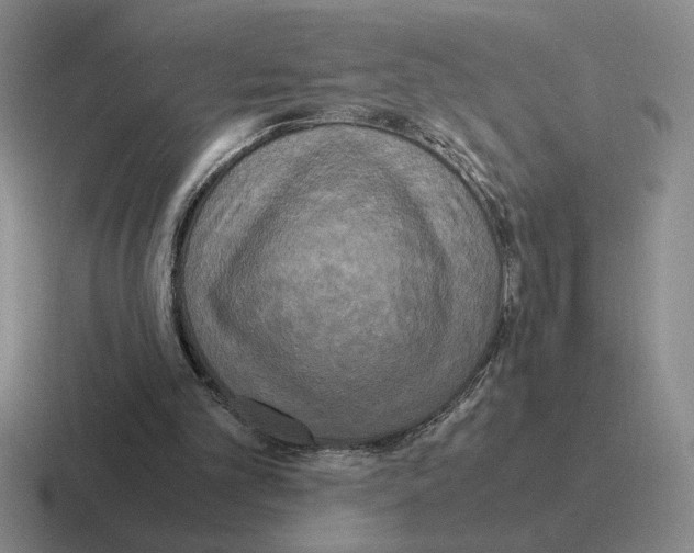 X0000116580101201001071222