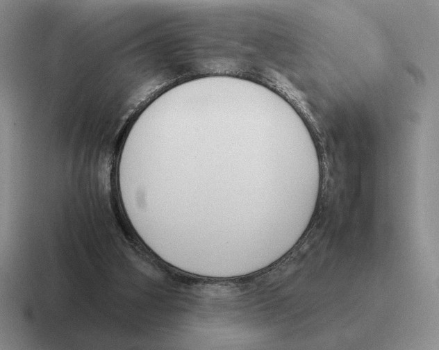 X0000116580106201001071222