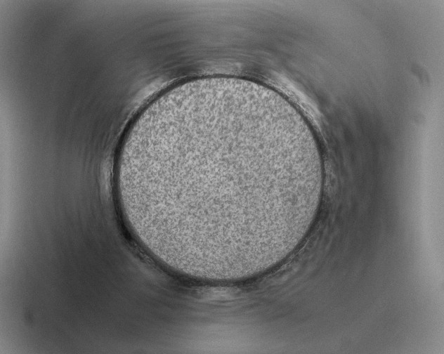 X0000116580107201001071222