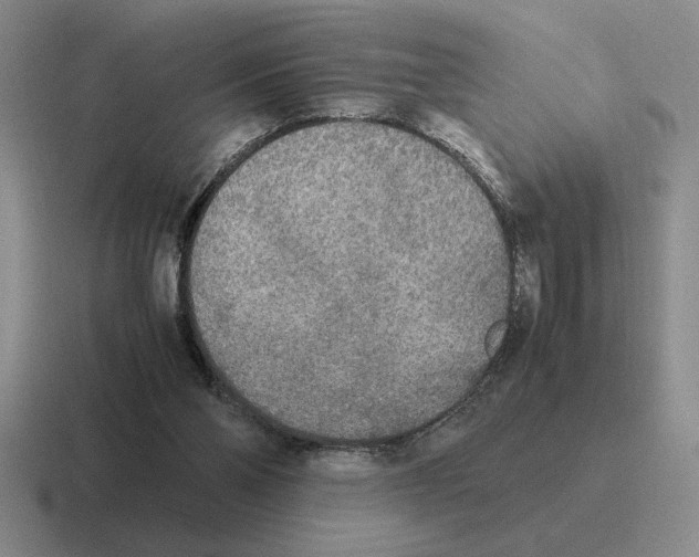 X0000116580110201001071222