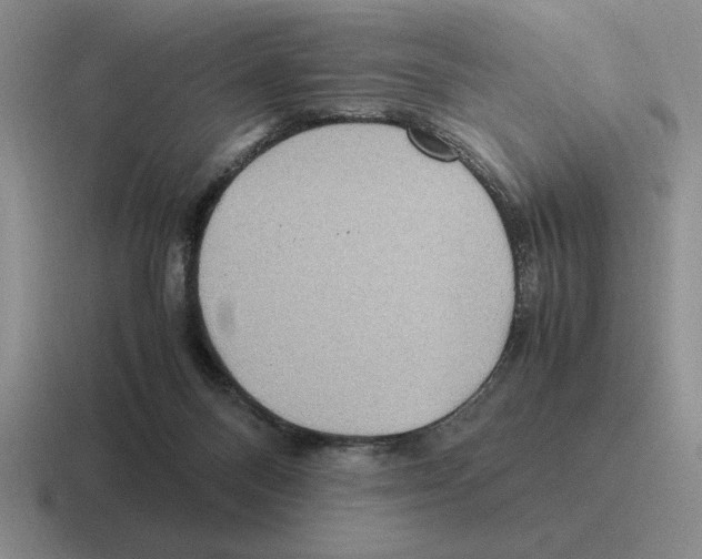 X0000116580120201001071221