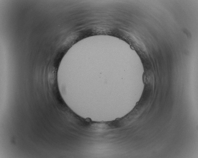 X0000116580133201001071221