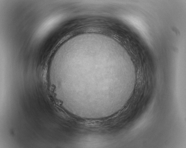 X0000116580146201001071221