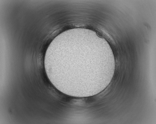 X0000116580170201001071221