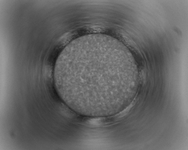 X0000116580178201001071221