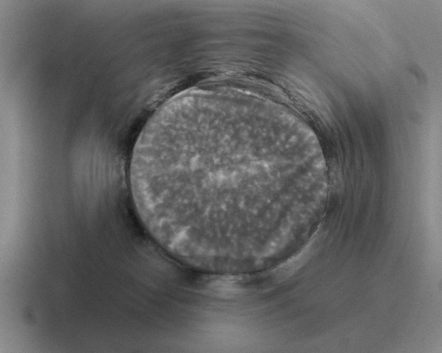 X0000116580182201001071221