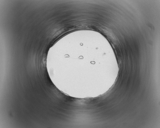 X0000116580190201001071221