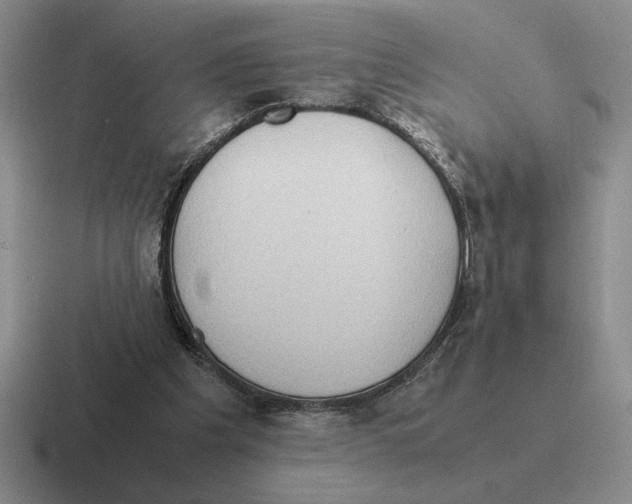 X0000116580201201001071220