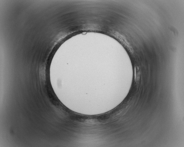 X0000116580204201001071220