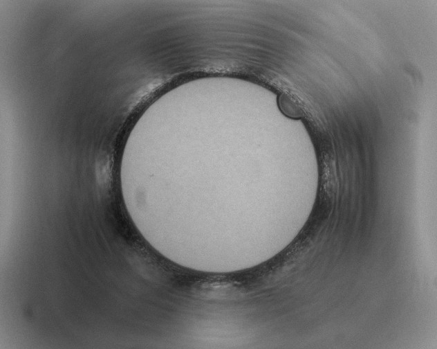 X0000116580208201001071220