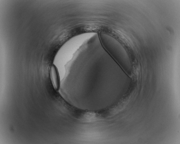 X0000116580227201001071220
