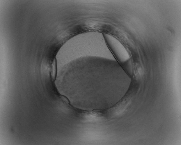 X0000116580235201001071220