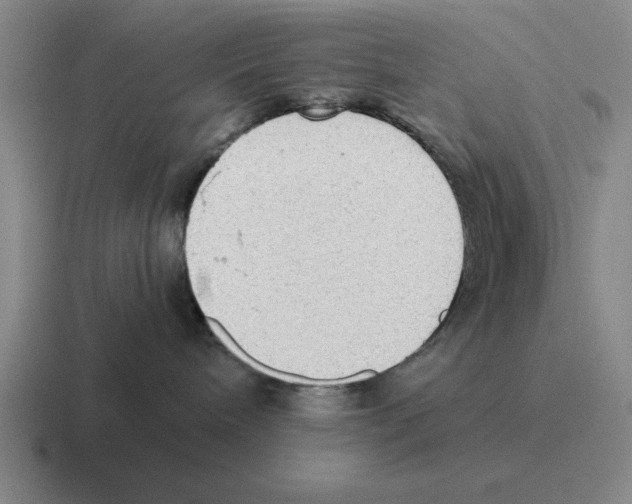 X0000116580240201001071220