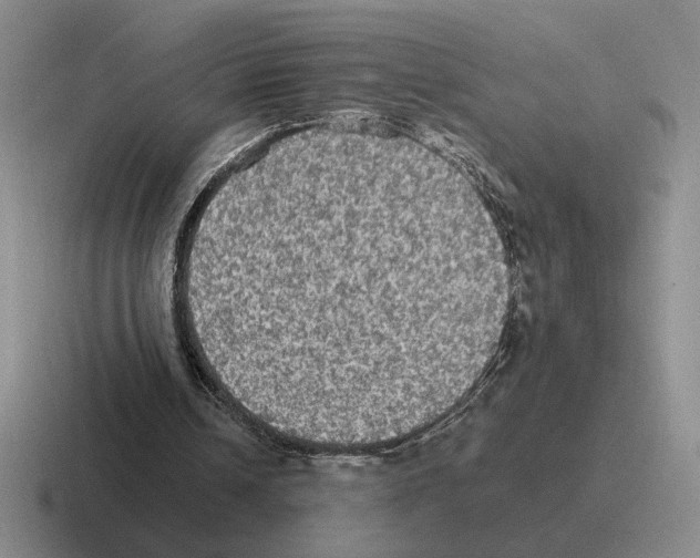 X0000116580242201001071219